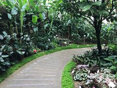 07A Plants and trees surround the walkway thru the Forsgate Conservatory Hong Kong Park